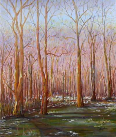 winter trees, early spring, wetland
